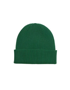 Colorful Standard Beanie: KELLY GREEN (Green)